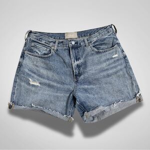 Everlane Blue Denim Shorts size 30